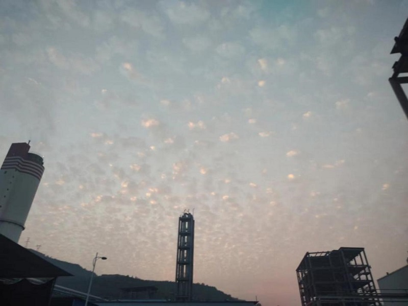 image1.jpeg